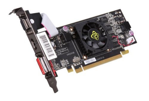 XFX HD-545X-ZNF2 Radeon HD 5450 1 GB Graphics Card