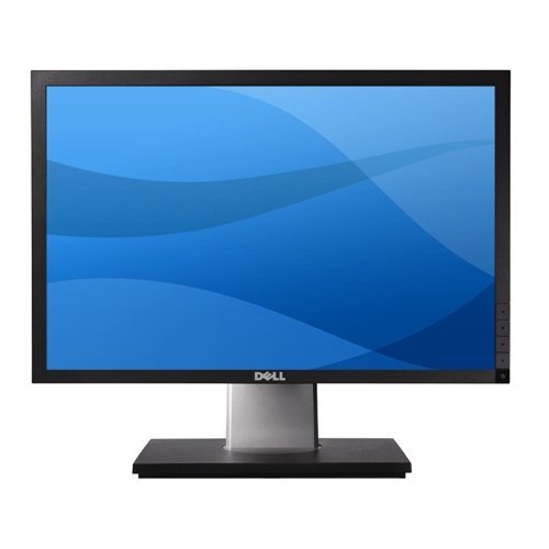 Dell P1911 19.0" 1440 x 900 Monitor