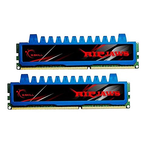 G.Skill Ripjaws 4 GB (2 x 2 GB) DDR3-1333 CL8 Memory
