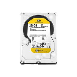 Western Digital RE 250 GB 3.5" 7200 RPM Internal Hard Drive