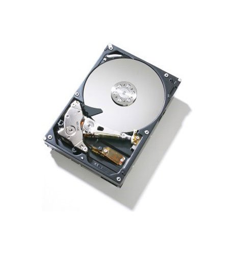 Hitachi 7K1000 1 TB 3.5" 7200 RPM Internal Hard Drive