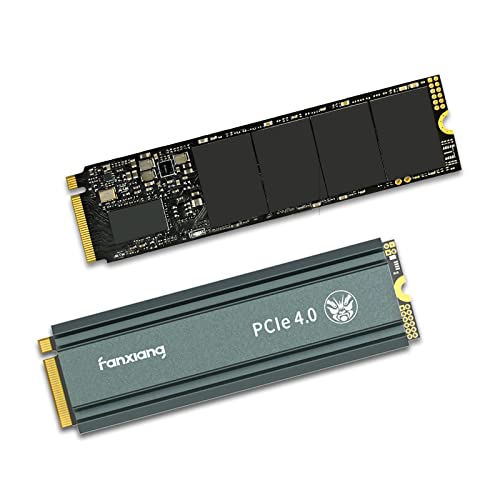 FanXiang S660 1 TB M.2-2280 PCIe 4.0 X4 NVME Solid State Drive